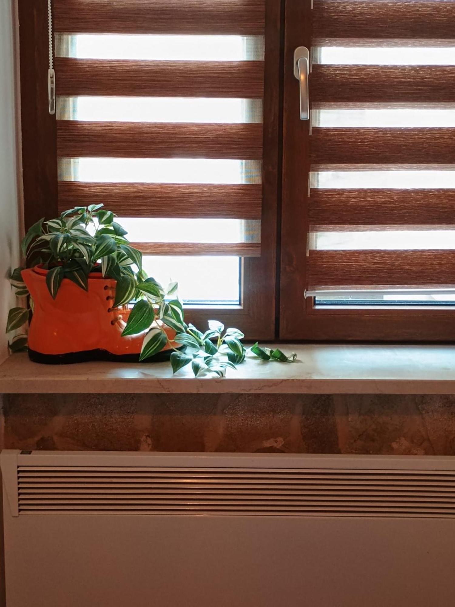 Luky 12 Apartman Brassó Kültér fotó